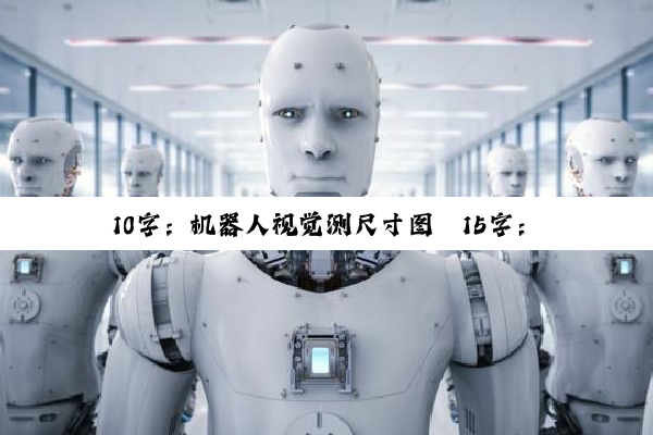 10字：机器人视觉测尺寸图
